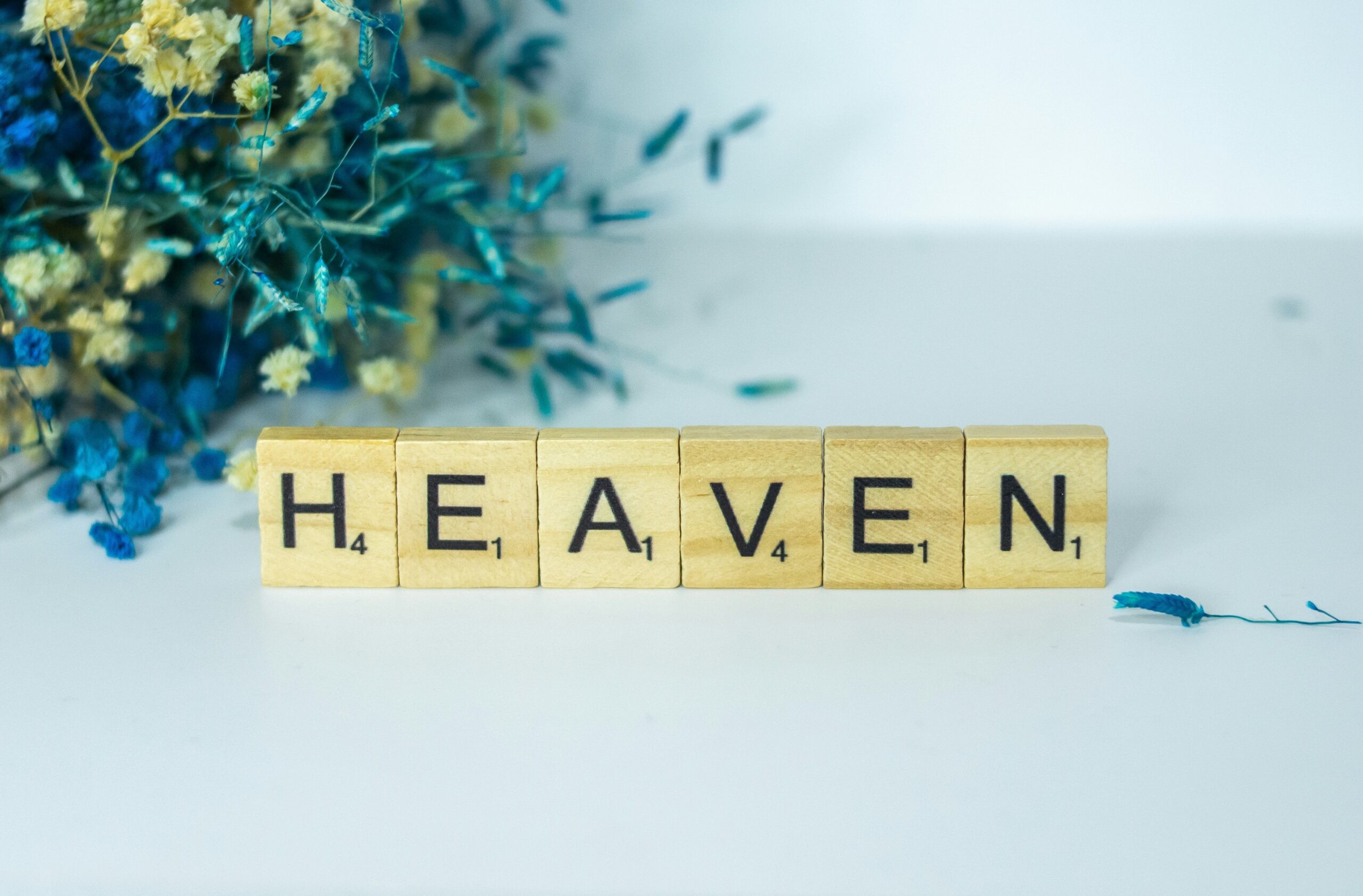 alex-shute-GeL3IWJgir0-unsplash